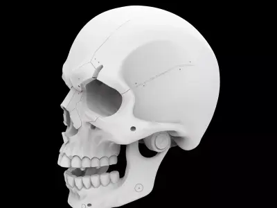 Minimalist Mechanical Skull 3D Print Model 3D print model