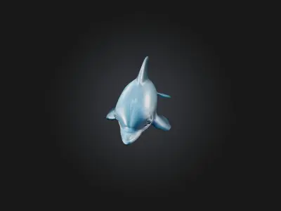 Cartoon Dolphin 3D model