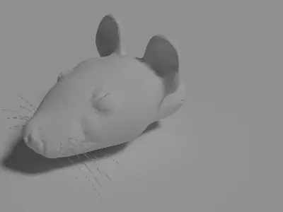 Free Low Poly Mouse Head 3D Model Free low-poly 3D model
