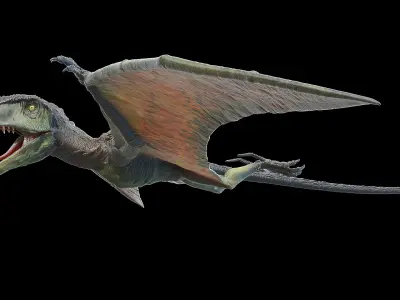 Dimorphodon 3D model