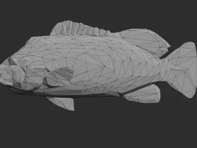 Low Poly Peacock Bass Low-poly 3D model