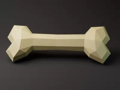 Bone lowpoly model Free 3D model