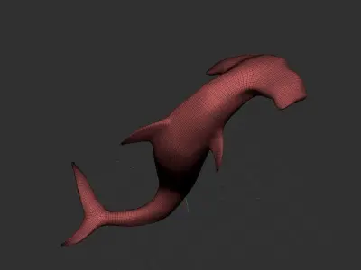 Hammer Shark 3D model