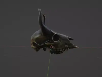 Animal Skull 3D model