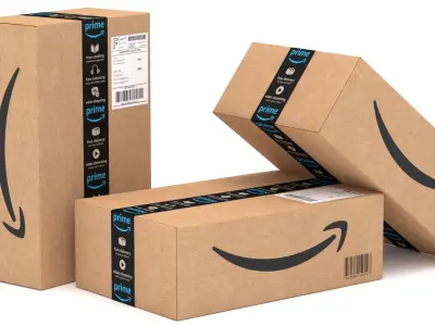 Cardboard Box Amazon 3D model