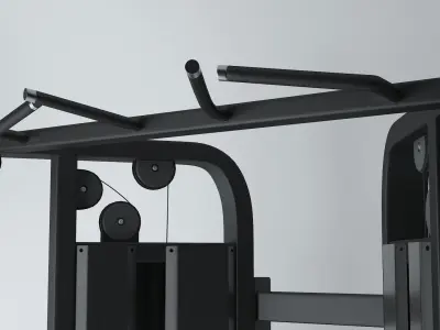 Freemotion Instinct Dual Pulley 3D model