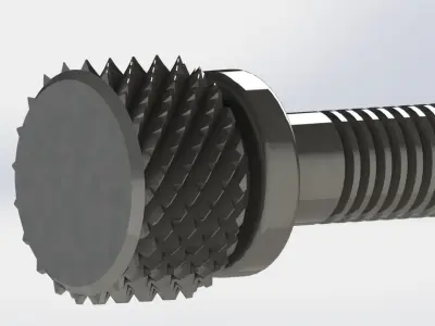 Knurling Screw 3D model