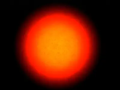 Lively sun 3D model