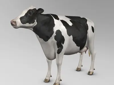 Cow Holstein  purchase 3D model