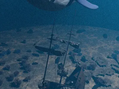 The Bottom of a Forgotten Shipwreck 3D model