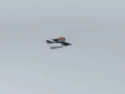 restaurant plane flying in sky 3D model