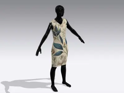 Female Cloth Dress Low-poly 3D model
