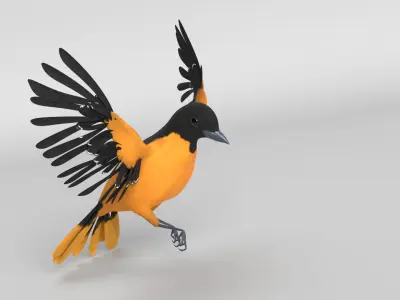 Animated Balitmore Oriole Bird 3D model