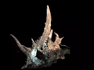 Alien Dragon God Bone In space 6  3D model