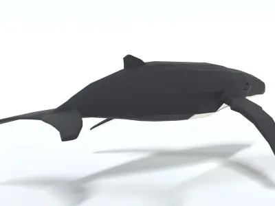 Low Poly Cartoon Humpback Whale Low-poly 3D model