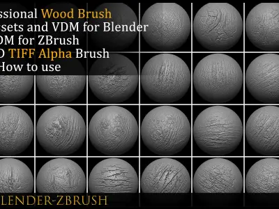 77 Wood Brush-ZBrush Vdm-Blender VDM-Alpha-Vol 09 3D model