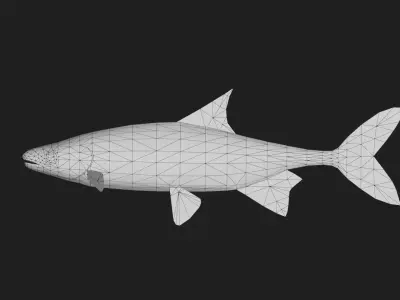 Carp fish Low-poly 3D model