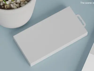 Smartphone Case Packaging 3D model