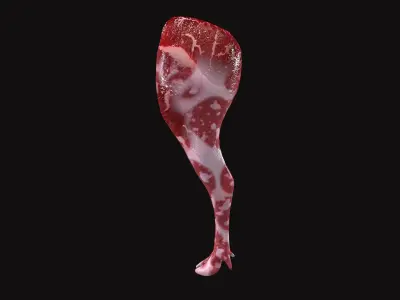 Goat Leg V02 Low-poly 3D model
