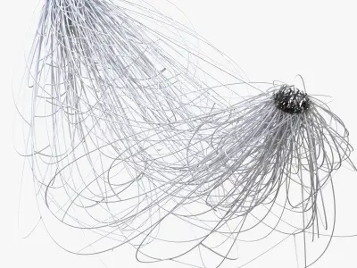 Cable Wie Web 3D model