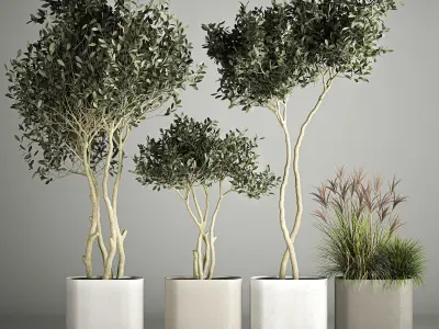 Collection bushes For Landscaping And Urban Environments 3D Model Pack