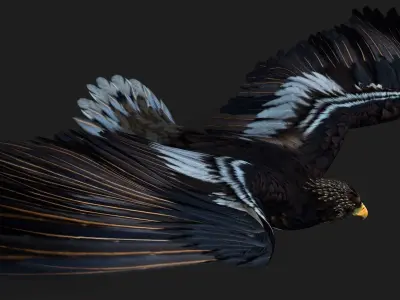 Eagle A3 3D model