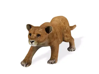 LION CUB CUP Lioness FELINE CAT Low-poly 3D model