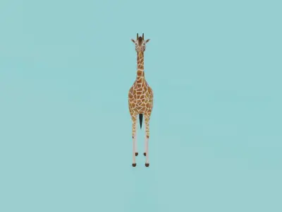Giraffe Low-poly 3D model buy