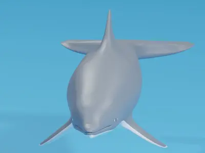 Cartoon Dolphin 3D model buy