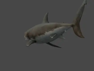 Great White Shark Low-poly 3D model