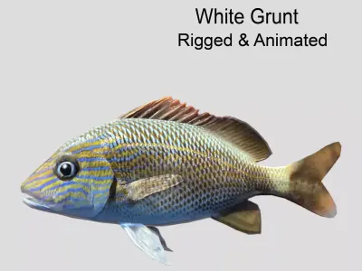 White  Grunt Low-poly 3D model