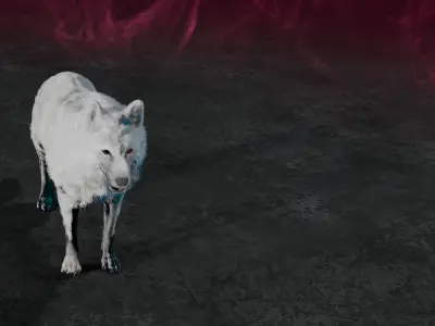 Wolf white 3D model