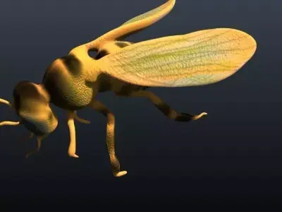 honey bee 3D model buy