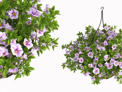 Petunia Hanging Basket Light Purple 3D model