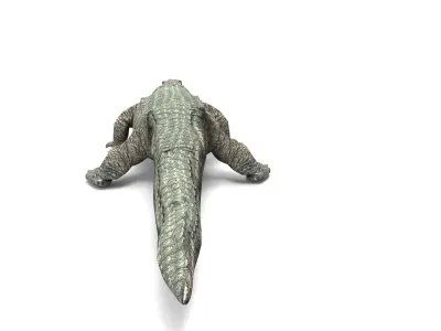 Crocodile Rigged 3D Models game ready Low-poly 3D model