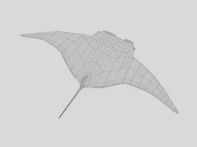 Manta Ray 3D model order