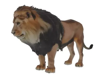Lion Mammal Low-poly 3D model
