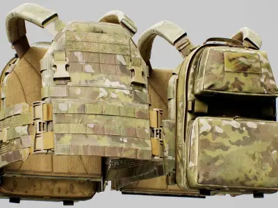 TYR Tactical PICO DSX Assaulter Plate Carrier V4 Low-poly 3D model