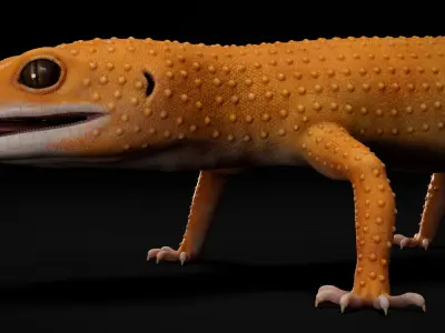  4K Leopard Gecko Orange 