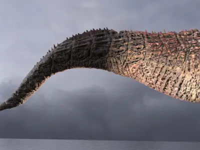 Dragon Tail red fin 3D model