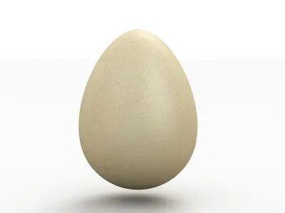 Egg 3D Model 3D model