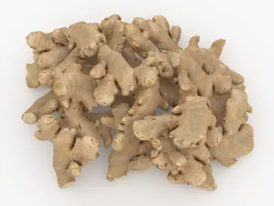 Pile Fresh Ginger Root 3D model