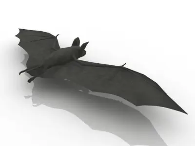 Good quality bat 3D model