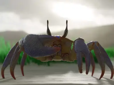 Ghost crab 3D model