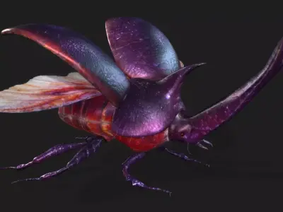 Stenocara A2 Free 3D model