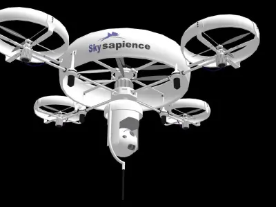 Sky sapience 3D model