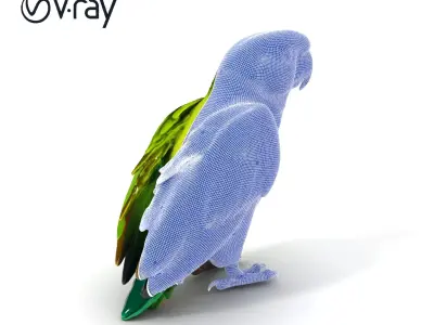 Vibrant Parrot D Model Pack Low-poly 3D model