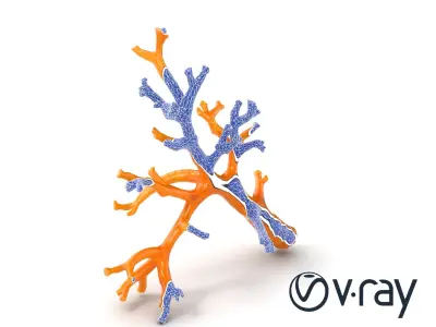 Branching Coral Textured Surface Model Pack Low-poly 3D model
