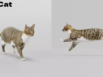 Grey Cat Free low-poly 3D model
