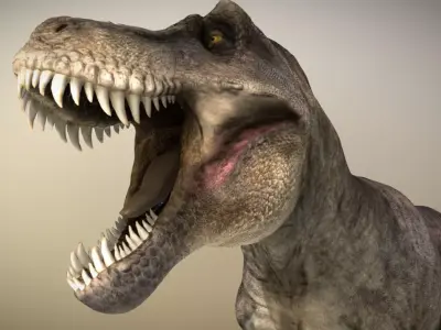 Tyrannosaurus rex Low-poly 3D model 20
